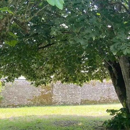 Maison De Famille Elegante - Cheminee , Jardin Clos- Ideal Le Croisic