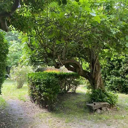 Maison De Famille Elegante - Cheminee , Jardin Clos- Ideal